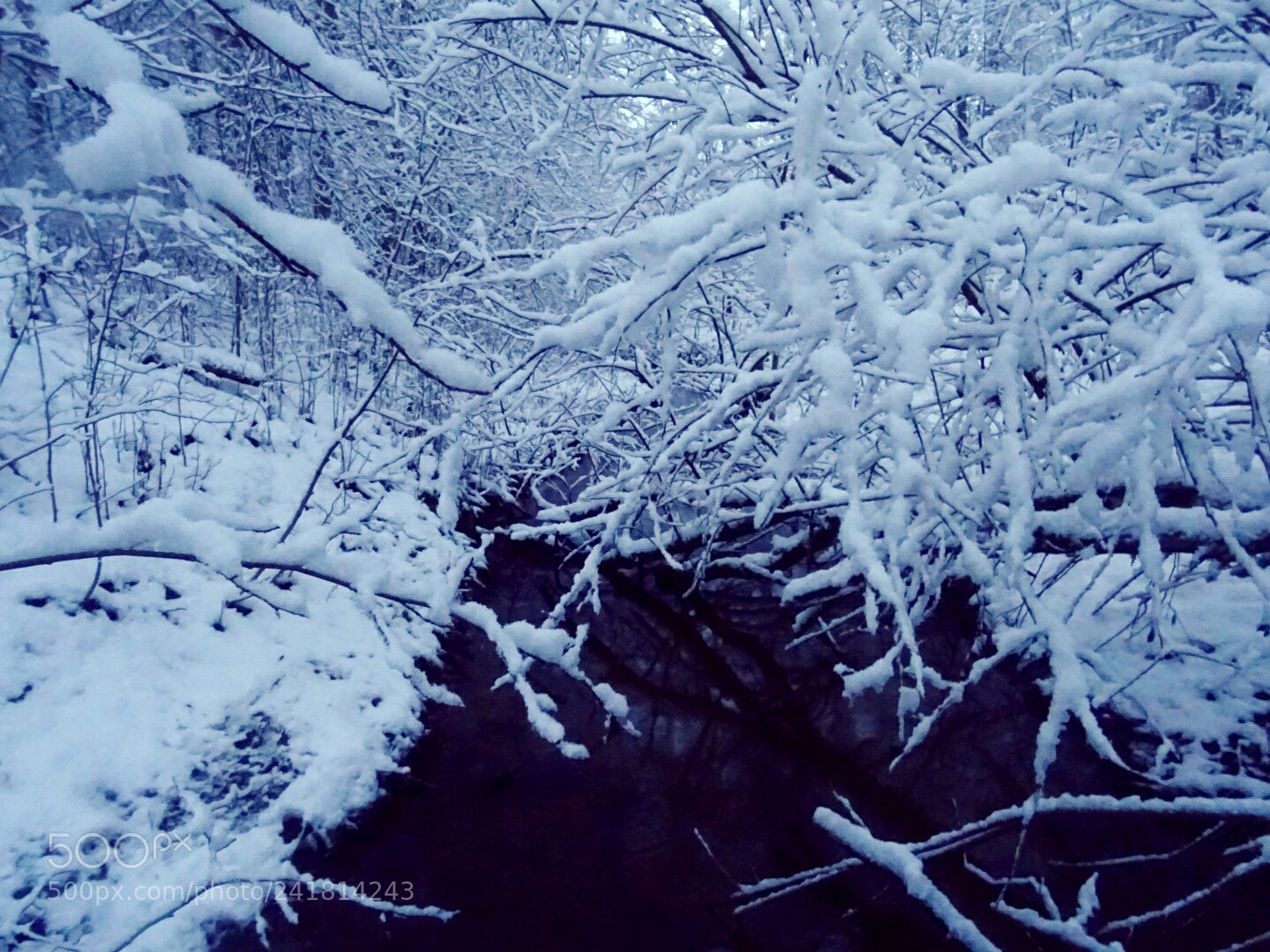 Sony DSC-HX60 sample photo. Winter wonderland photography