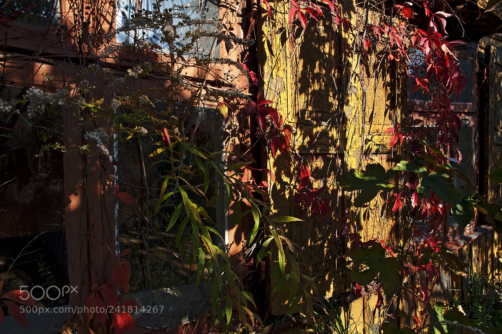 Canon EOS 40D sample photo. The ghost house (7b) photography