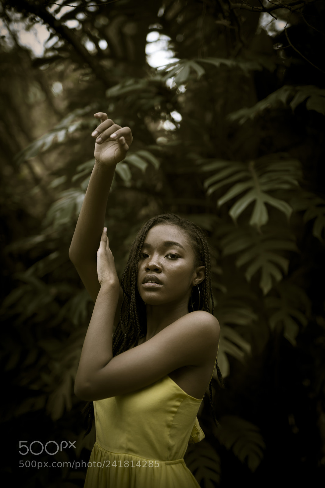 Sony a7 II sample photo. Inspire photography