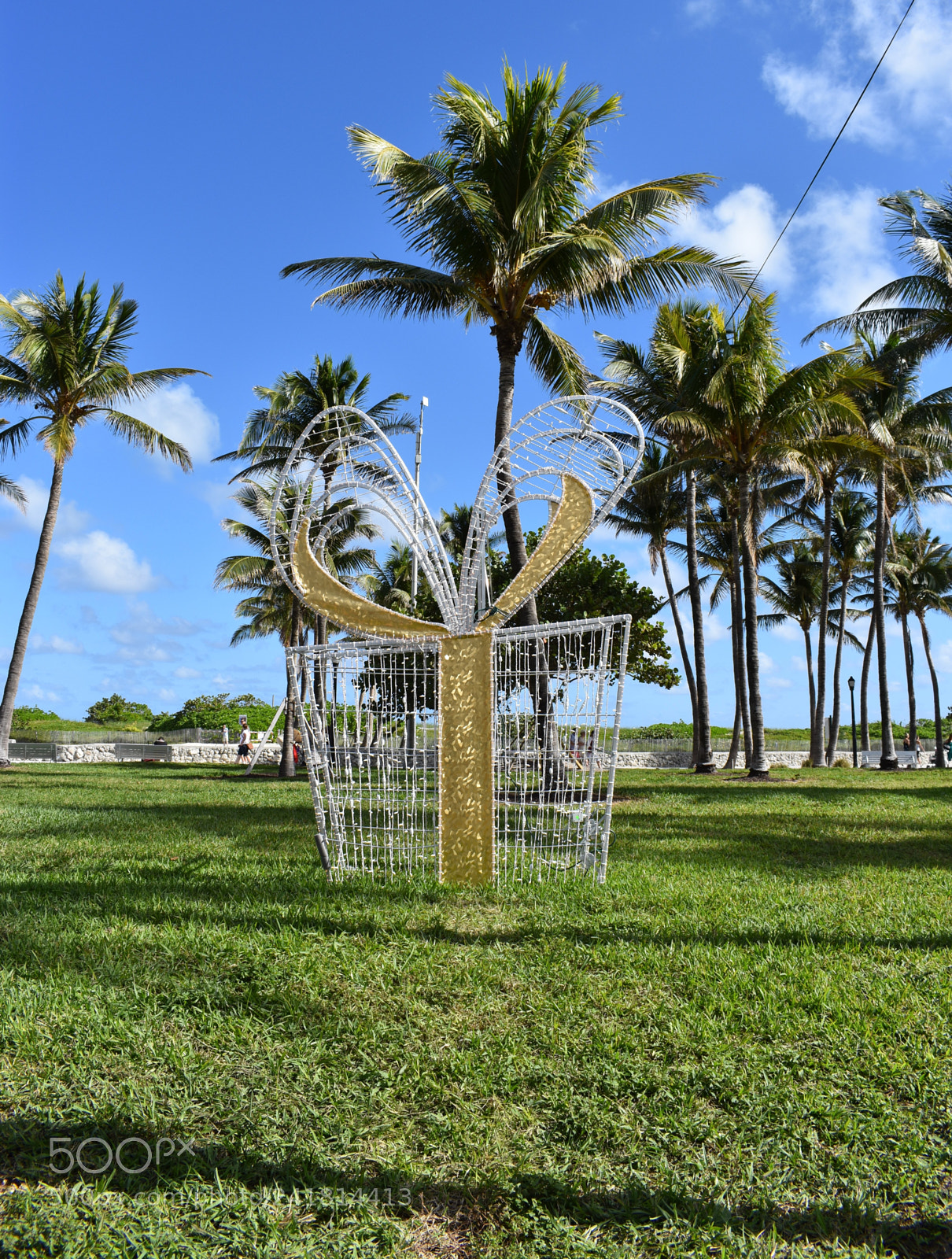 Nikon D3400 sample photo. Miami photography