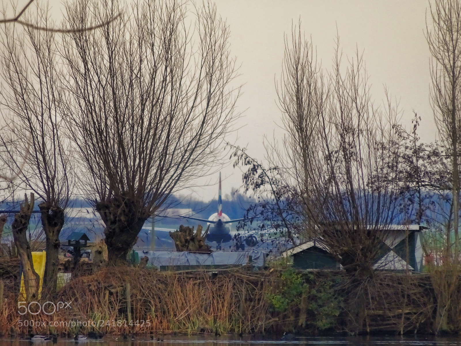 Sony Cyber-shot DSC-WX350 sample photo. Nature view on rotterdam photography