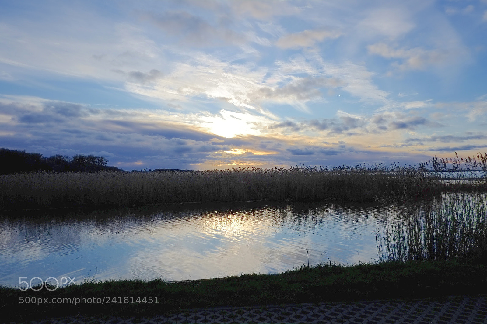 Fujifilm X-Pro1 sample photo. Bird sanctuary - ptaki photography