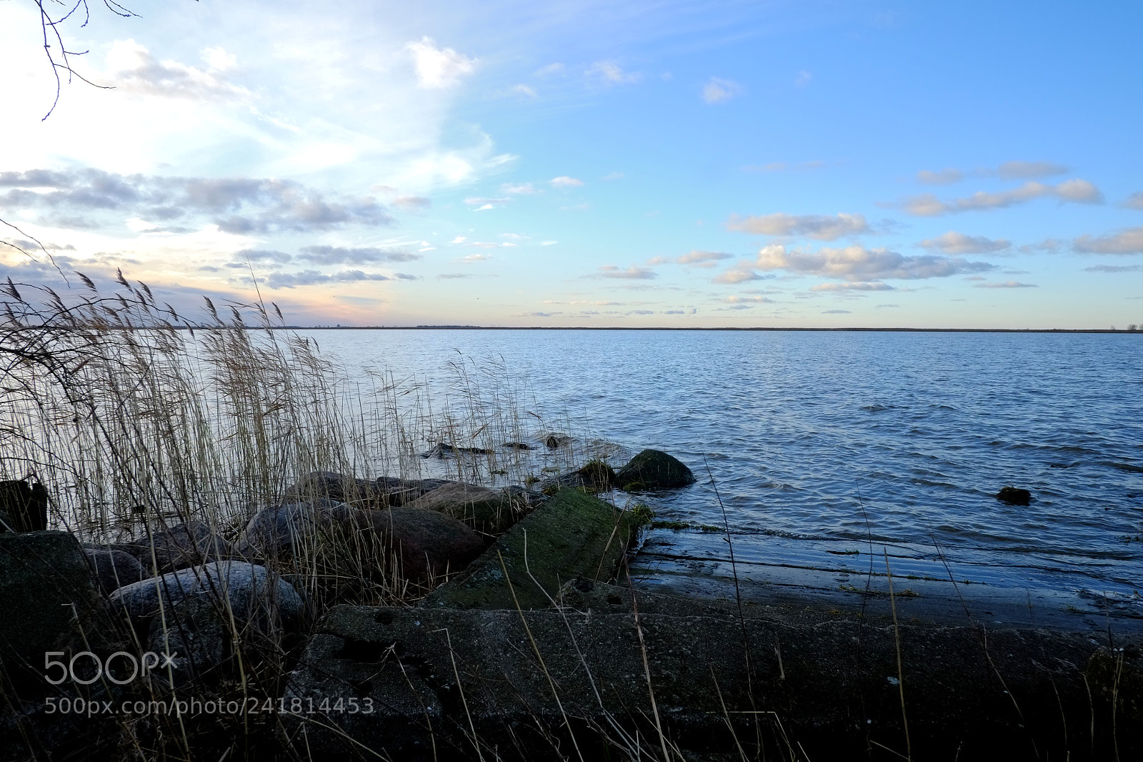 Fujifilm X-Pro1 sample photo. Bird sanctuary - ptaki photography