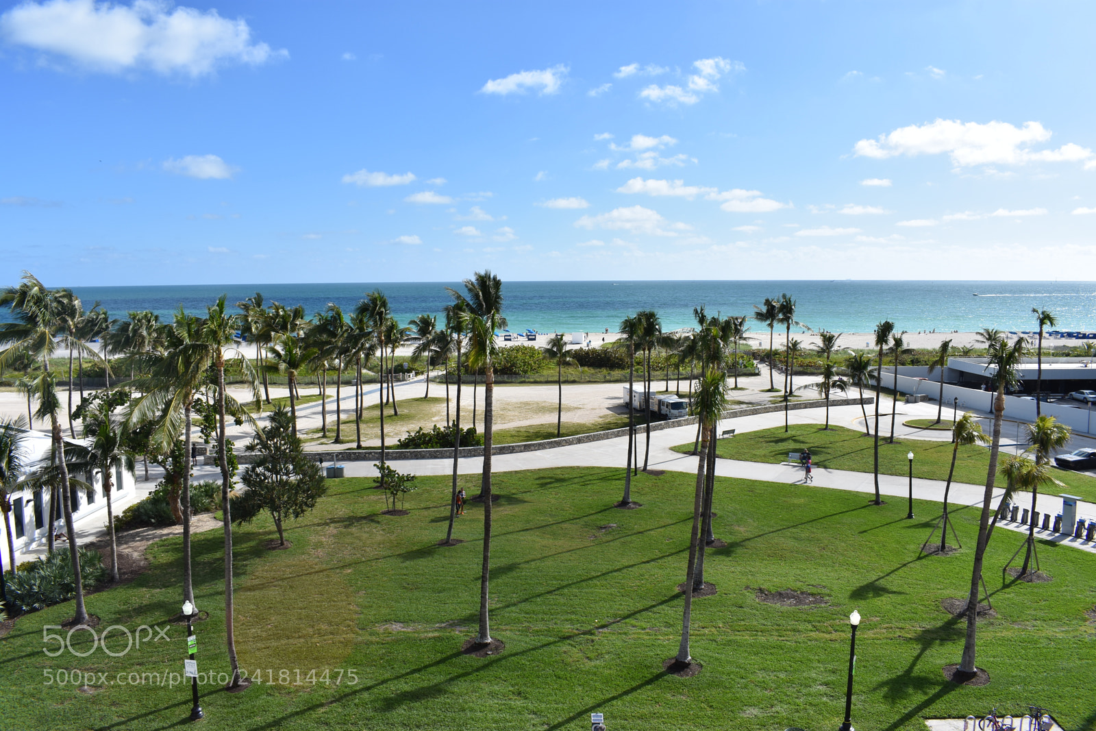 Nikon D3400 sample photo. Miami photography