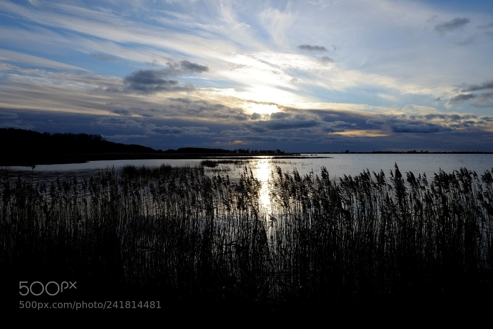 Fujifilm X-Pro1 sample photo. Bird sanctuary - ptaki photography