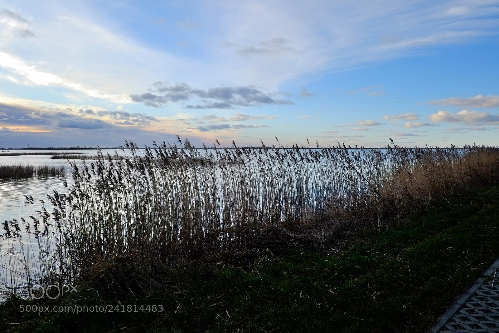 Fujifilm X-Pro1 sample photo. Bird sanctuary - ptaki photography