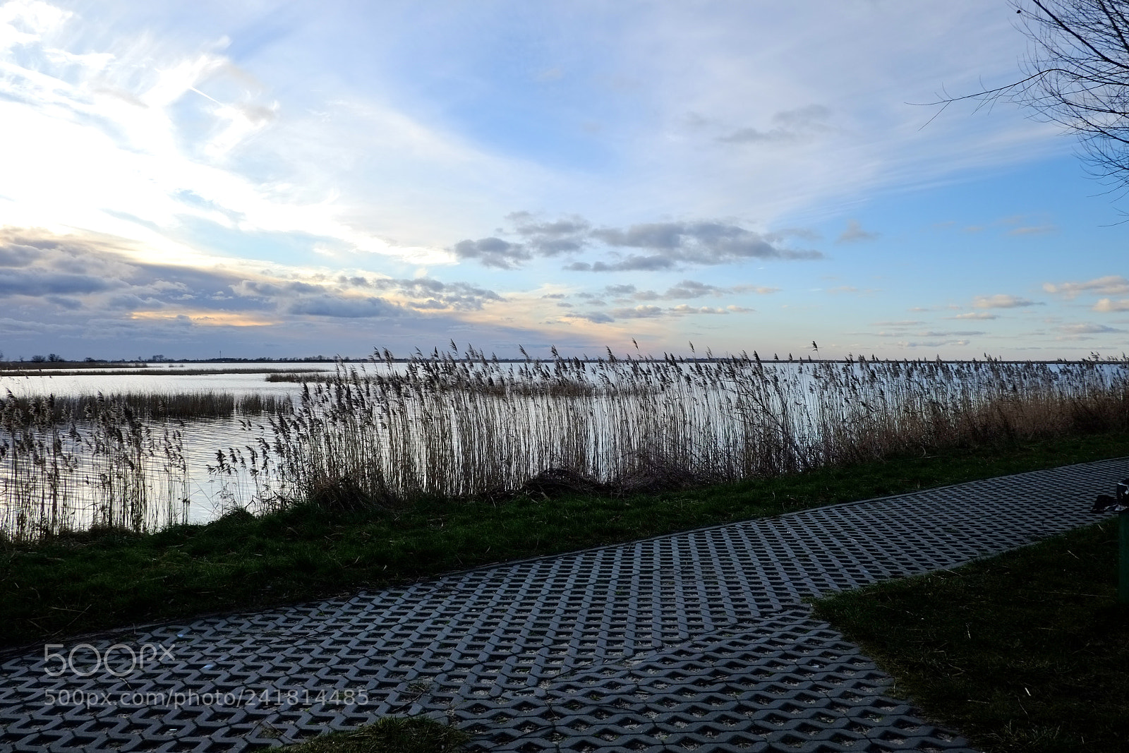 Fujifilm X-Pro1 sample photo. Bird sanctuary - ptaki photography
