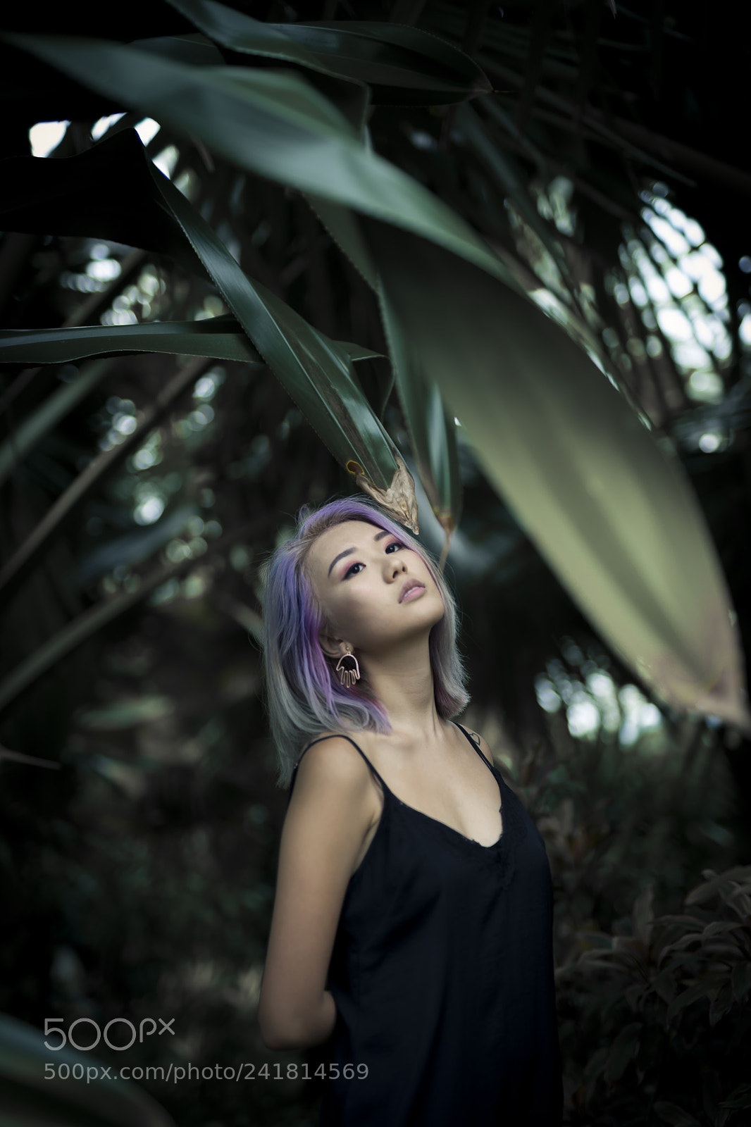 Sony a7 II sample photo. Dream big photography