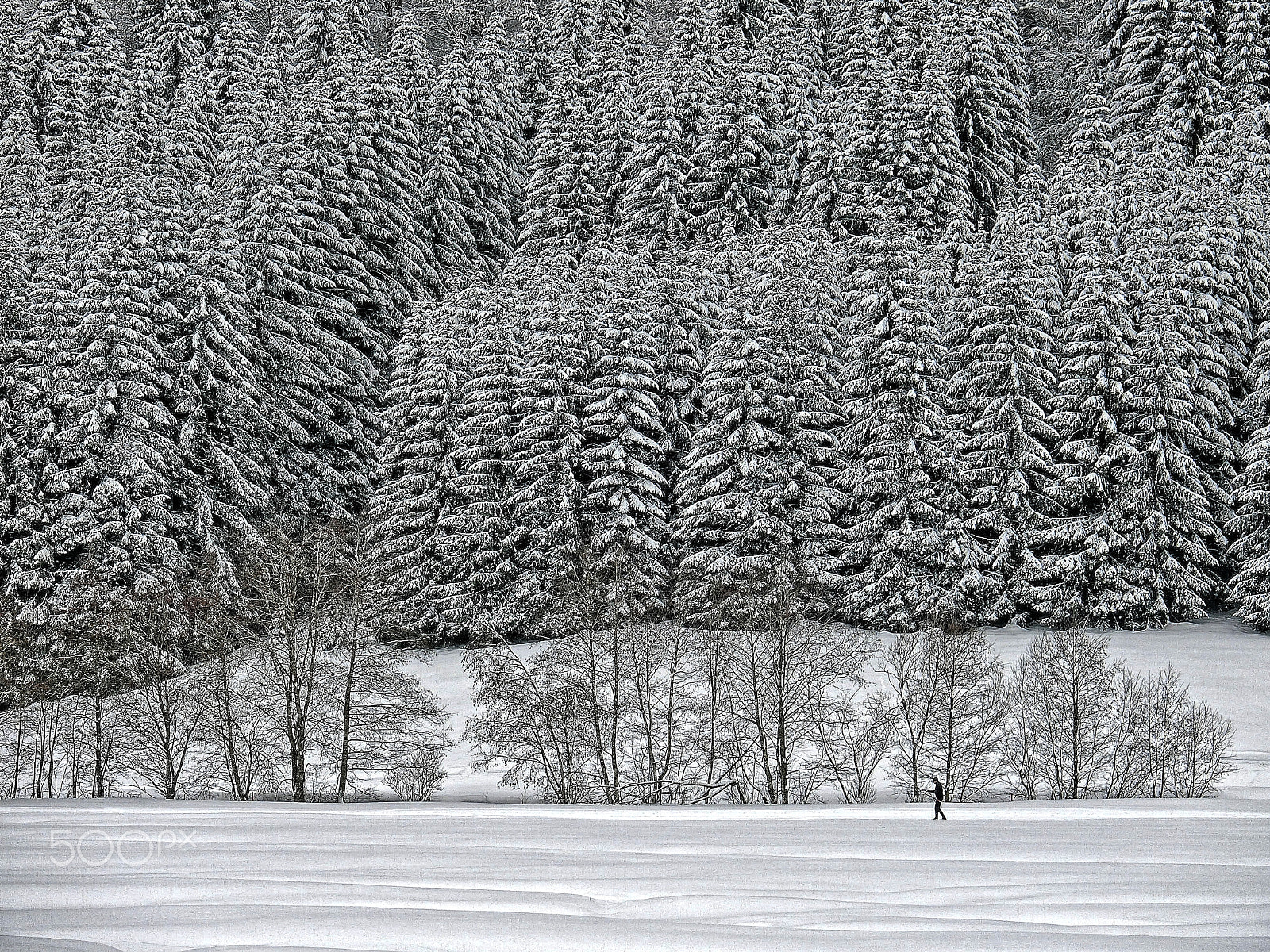 CASIO EX-100 sample photo. Snowed photography