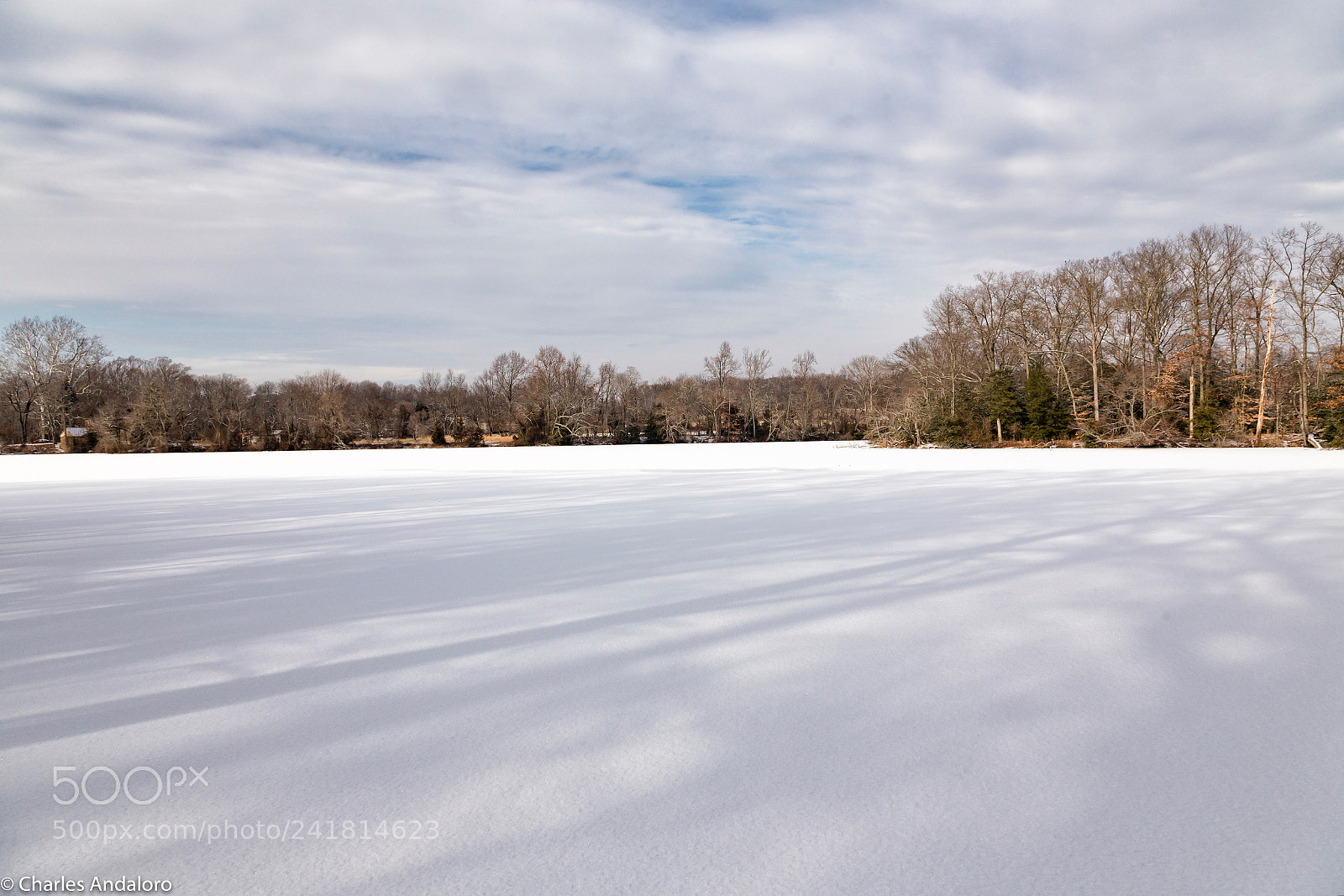 Canon EOS 6D sample photo. Shadows on frozen pond photography