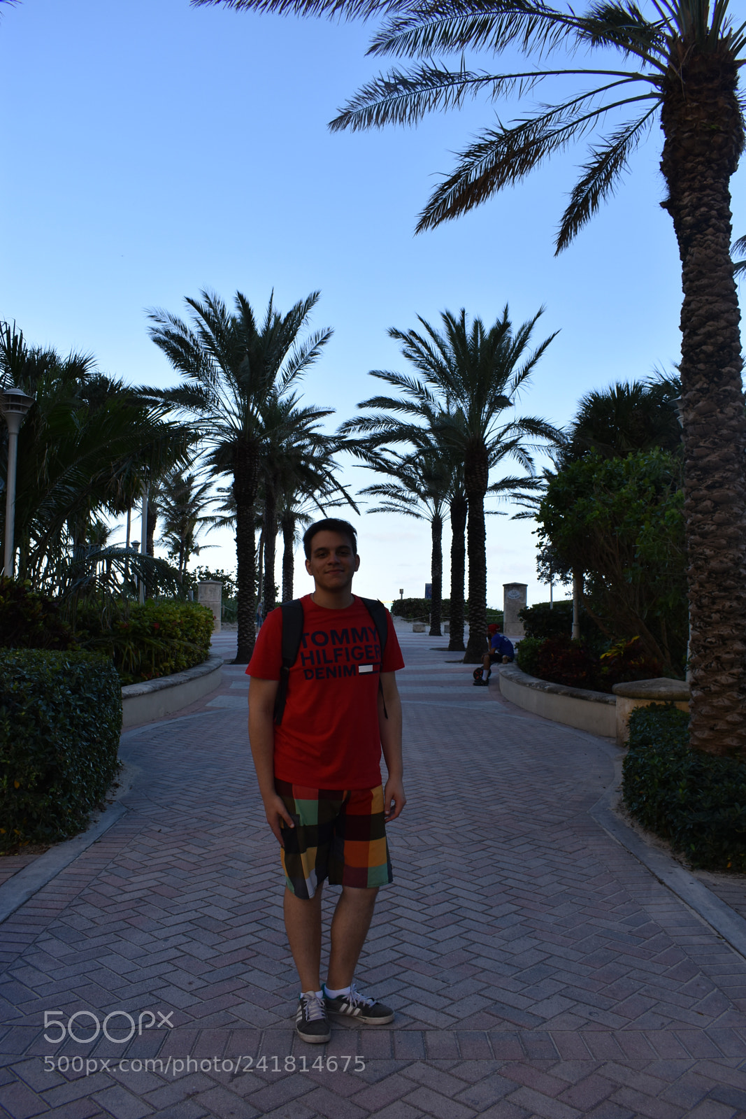 Nikon D3400 sample photo. Miami photography