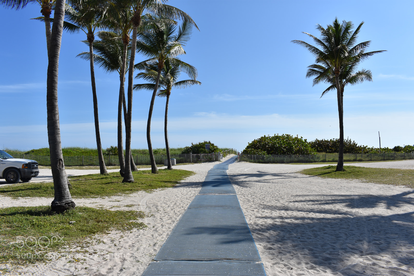 Nikon D3400 sample photo. Miami photography
