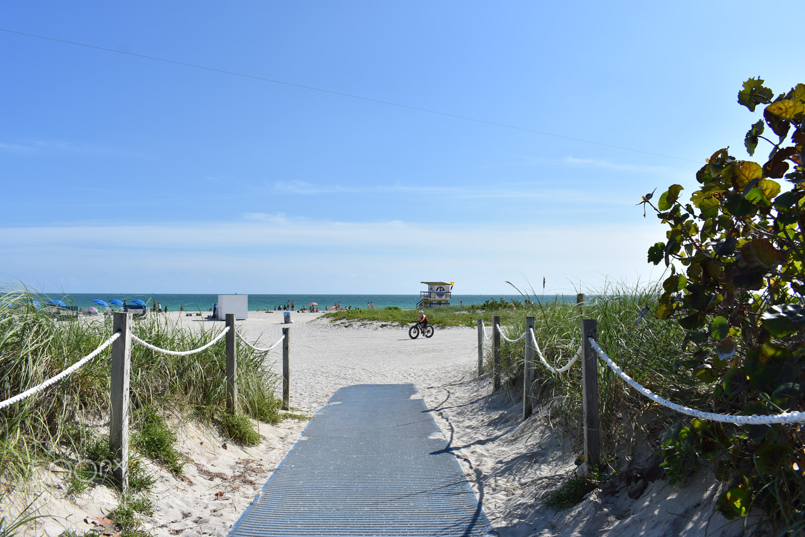 Nikon D3400 sample photo. Miami photography