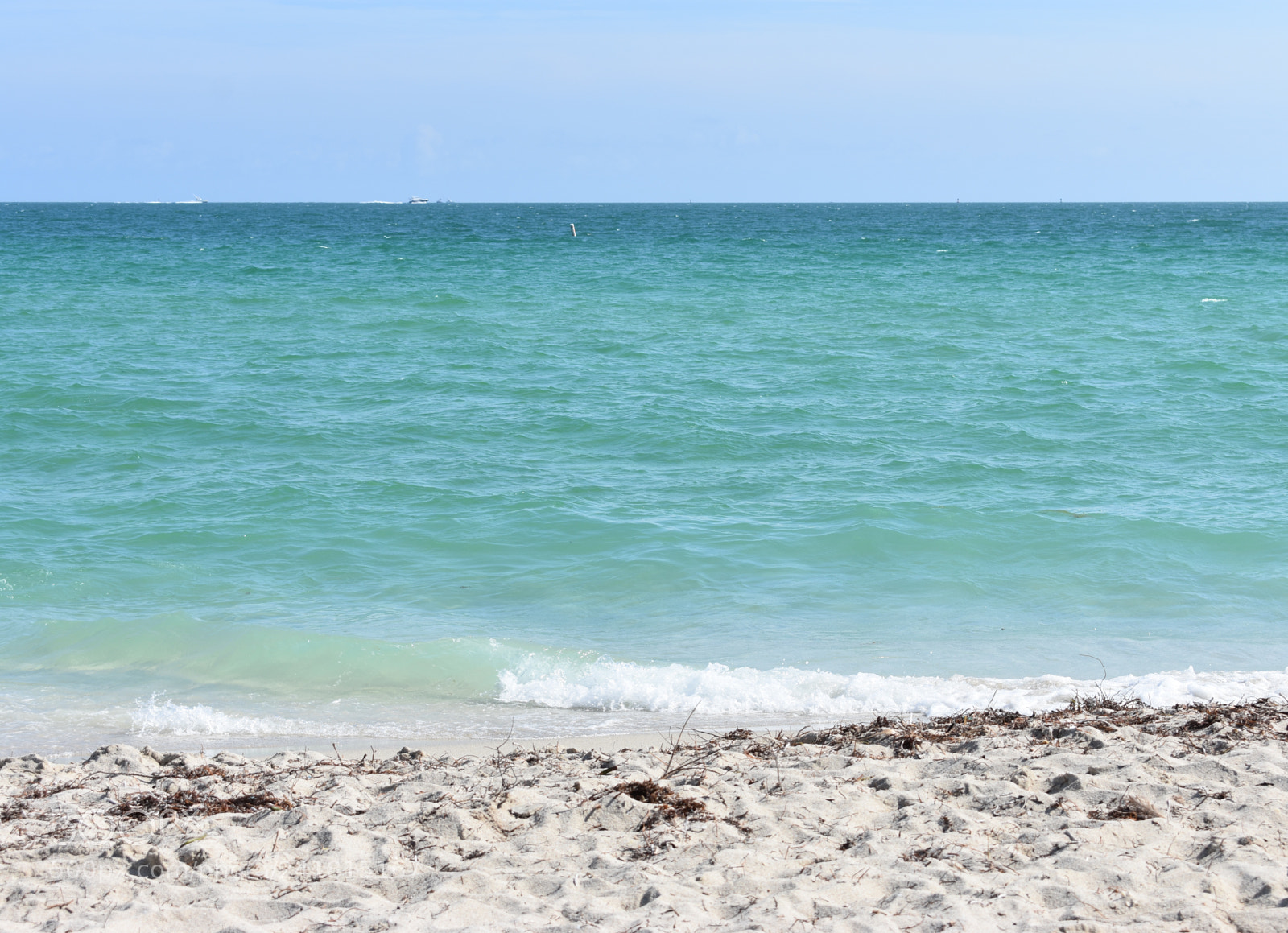 Nikon D3400 sample photo. Miami photography