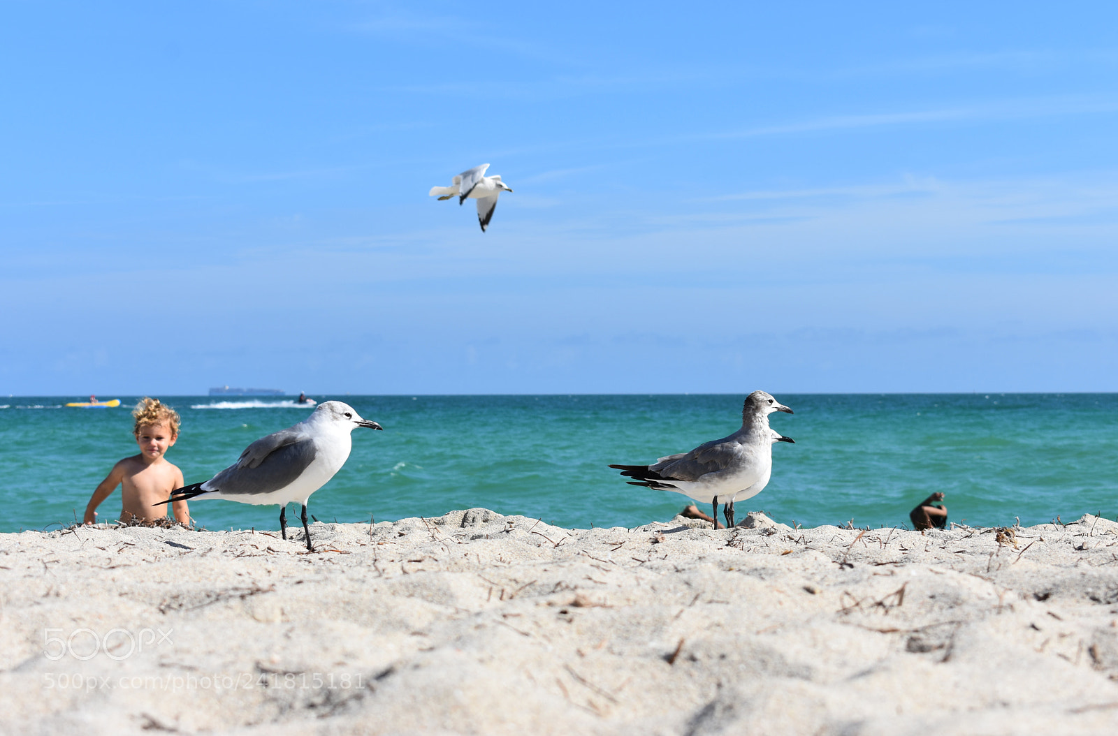 Nikon D3400 sample photo. Miami photography