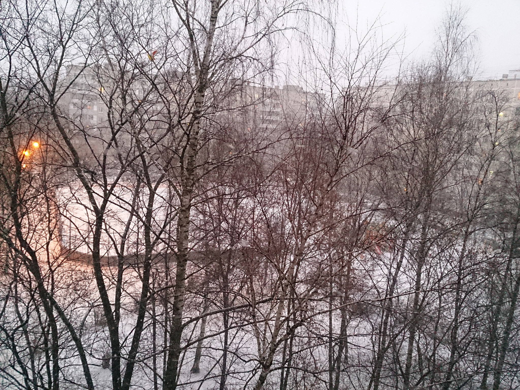Sony Xperia ZR sample photo. Зима photography