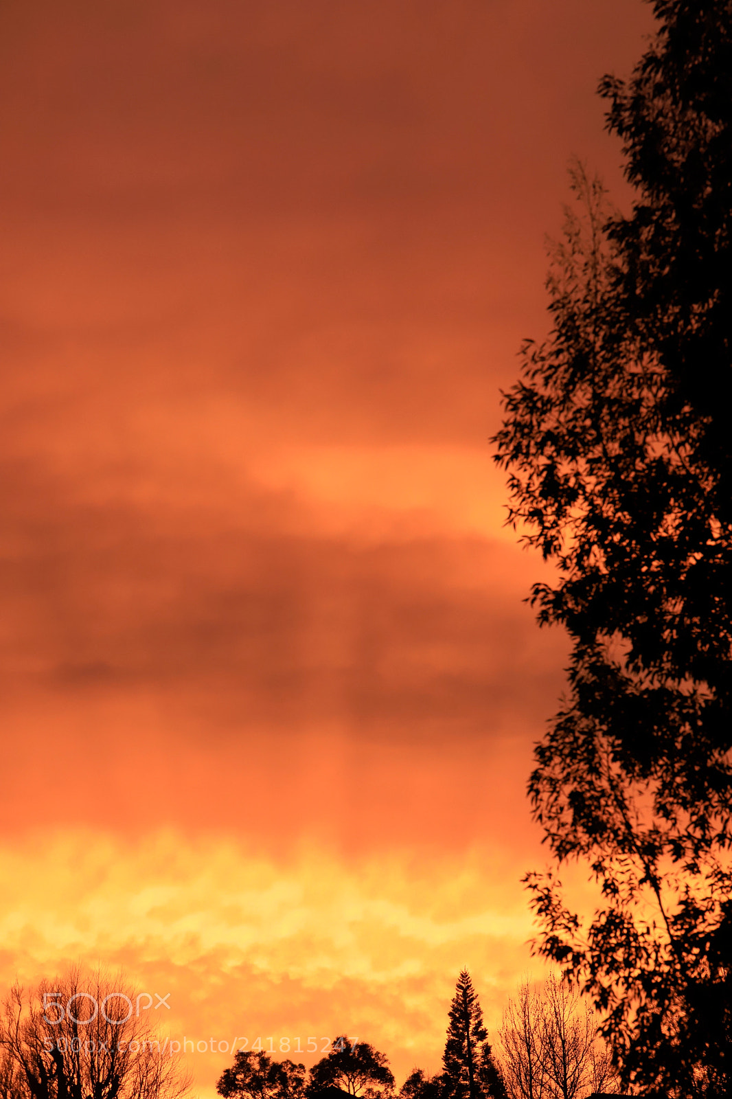 Canon EOS 6D Mark II sample photo. Le ciel en feu photography