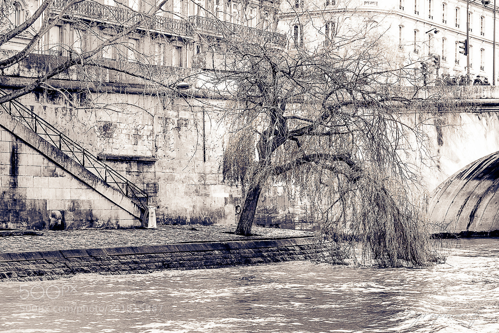 Nikon D810 sample photo. Paris 2018 photography