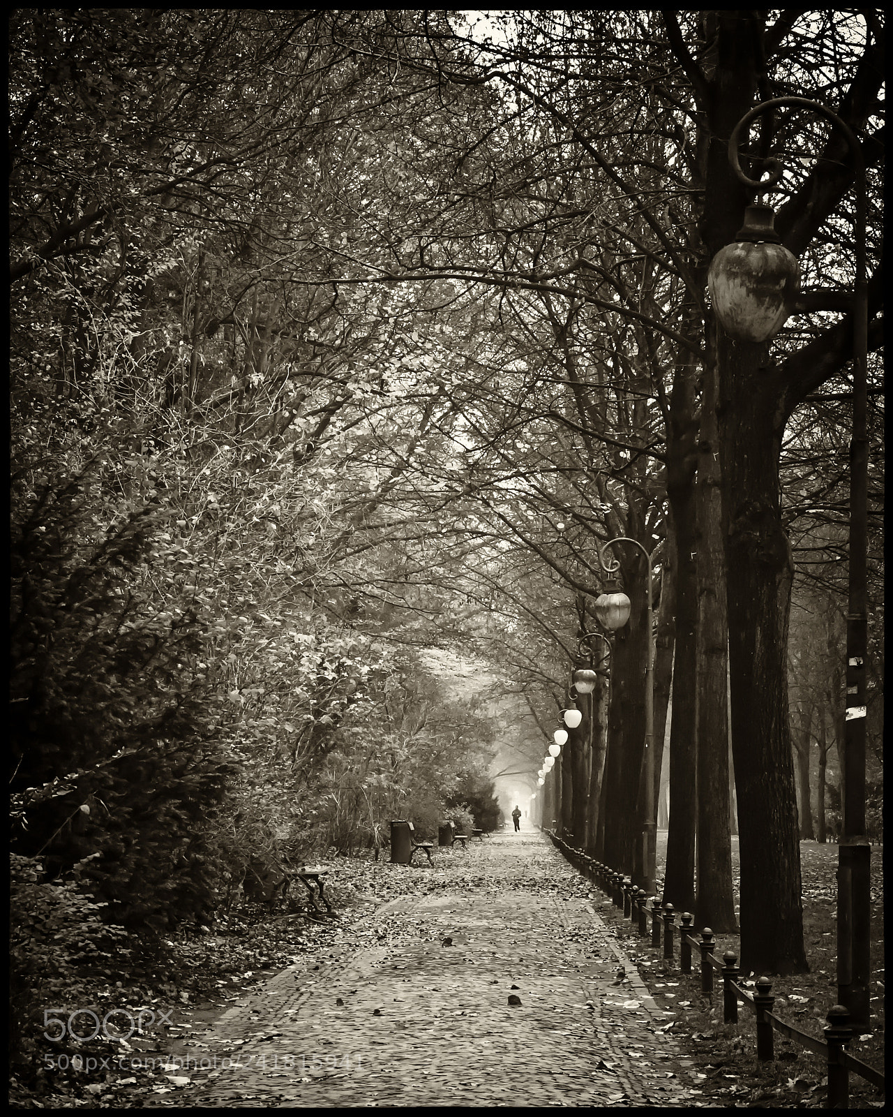 Canon EOS 60D sample photo. In the tiergarten photography