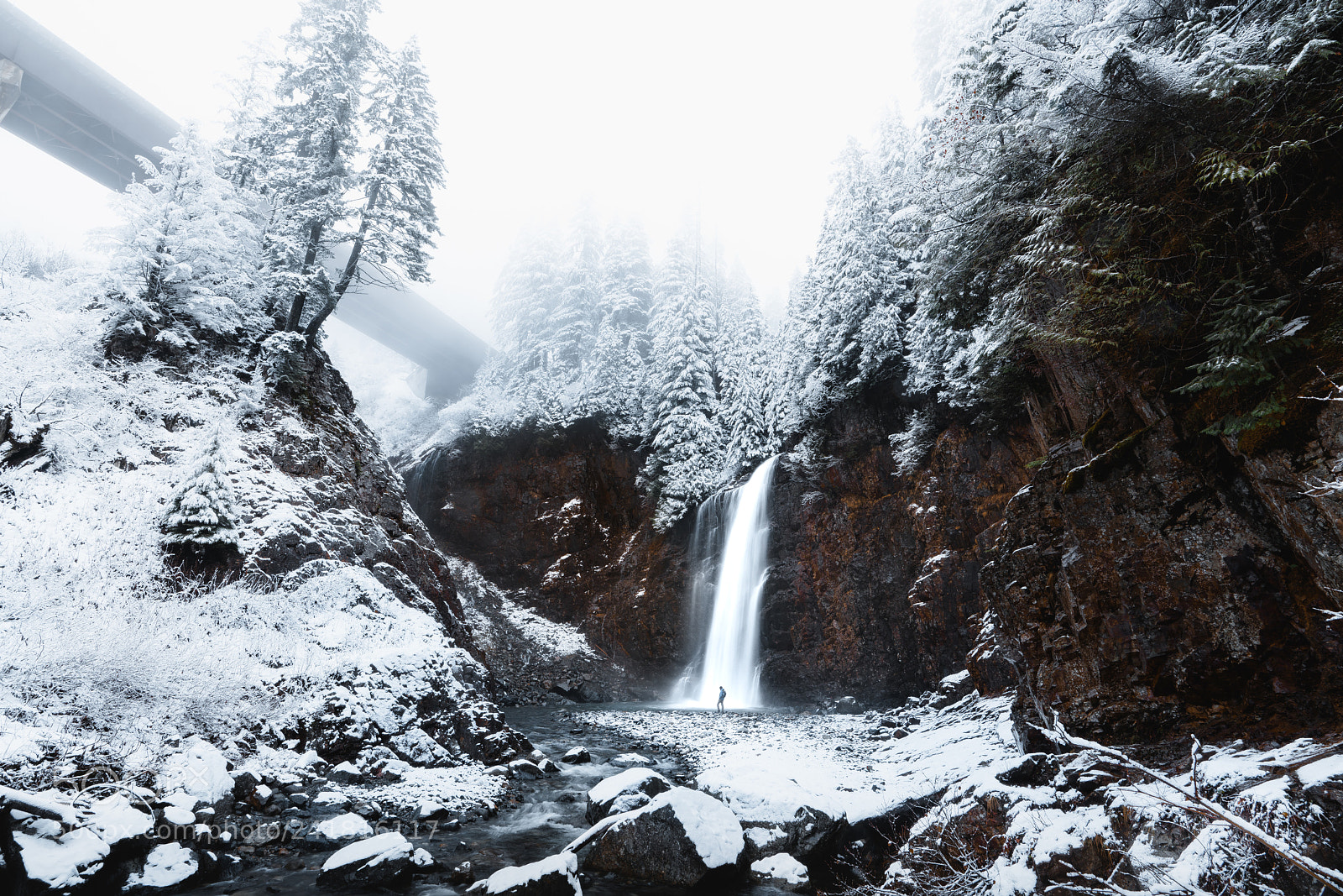 Sony a7R III sample photo. Franklin falls photography