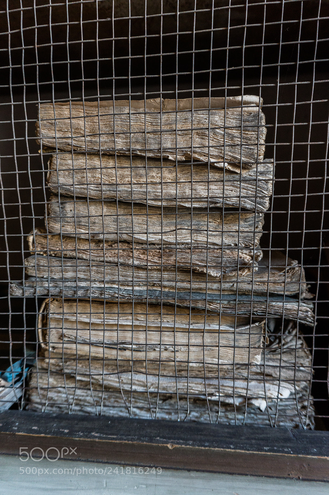 Sony Alpha NEX-3N sample photo. Caged books photography