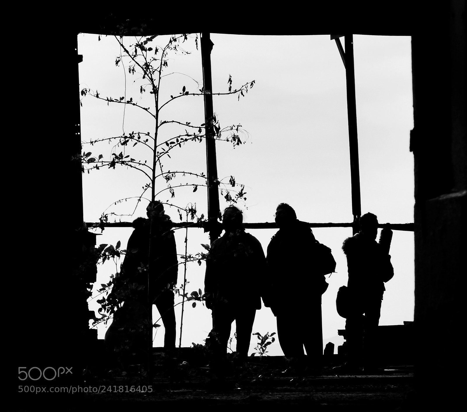 Panasonic Lumix DMC-FZ200 sample photo. Silhouettes... photography