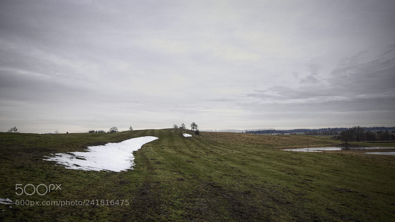 Olympus PEN E-PL5 sample photo. Green winter photography