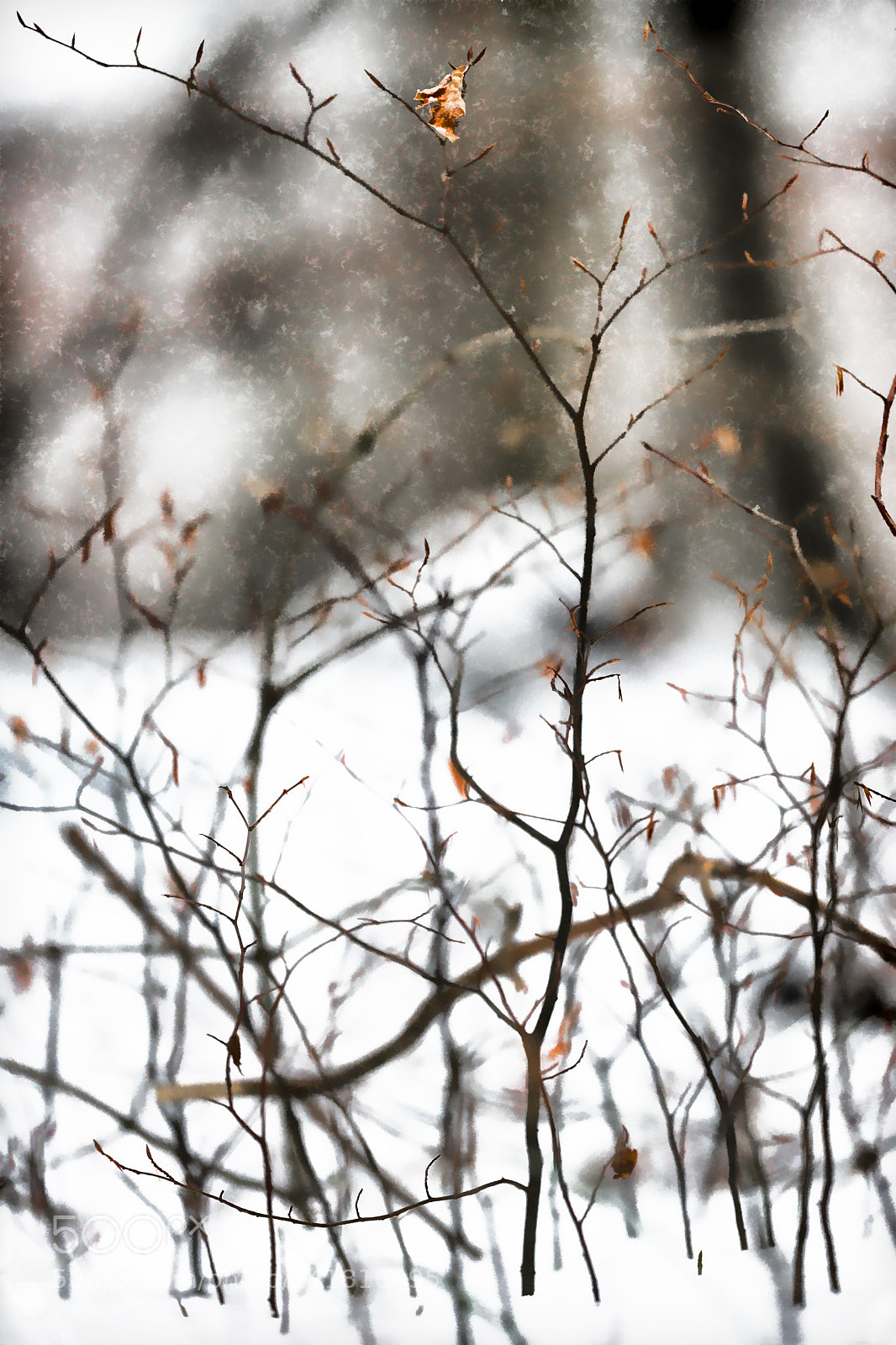 Sony SLT-A99V sample photo. Leftover photography