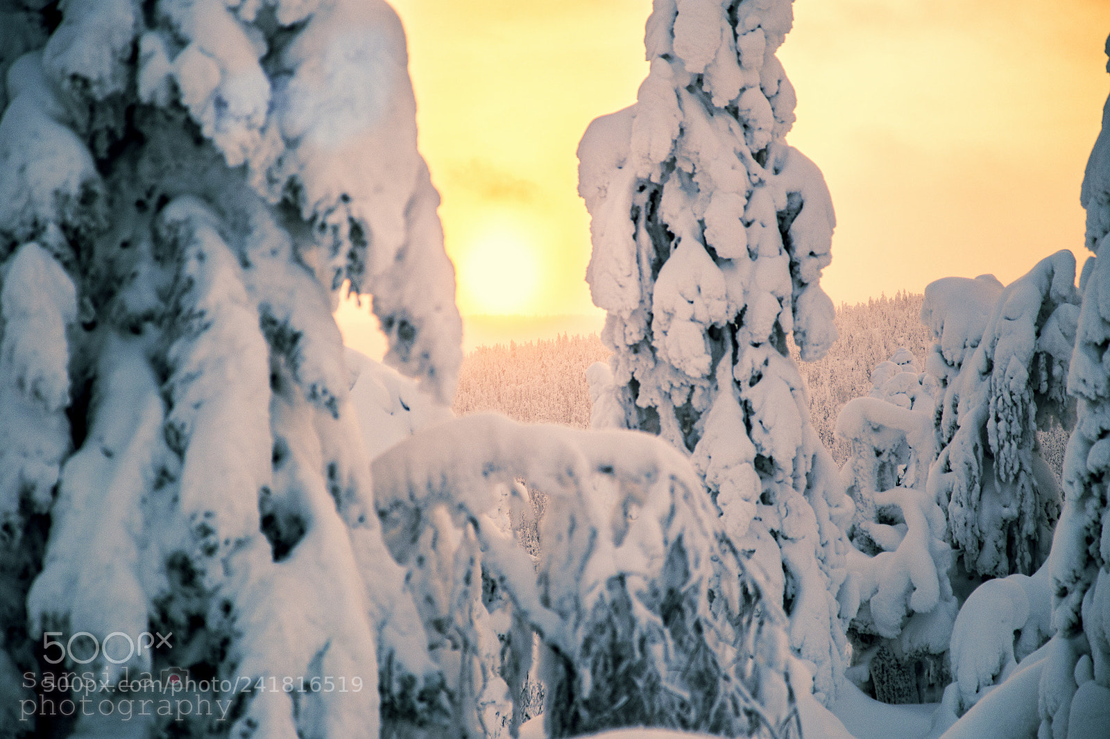Canon EOS 6D sample photo. Winter landscapes photography
