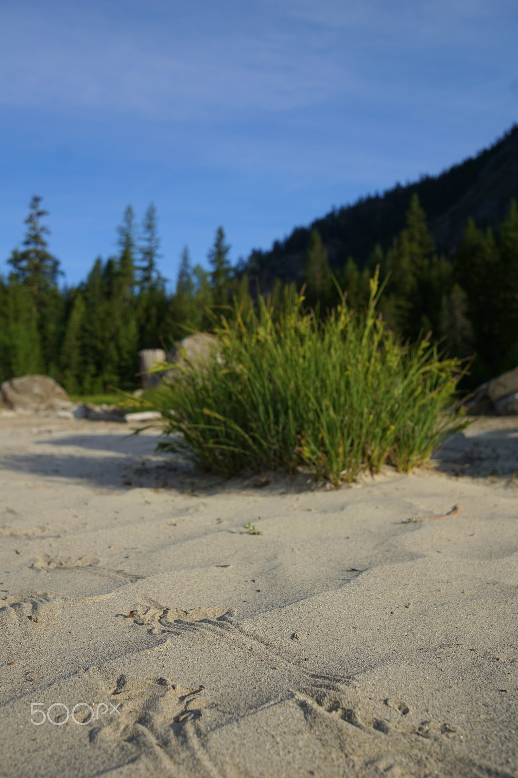 Sony a6000 + Sigma 19mm F2.8 EX DN sample photo. Lakeside commute photography