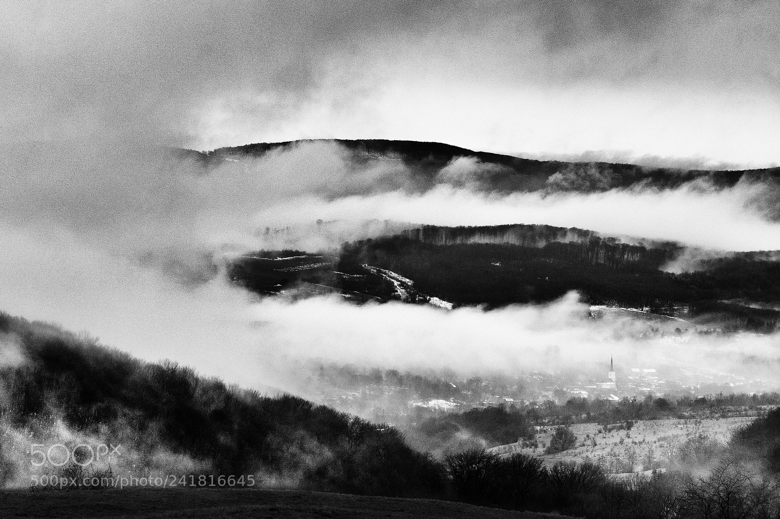 Nikon D7100 sample photo. Fog photography