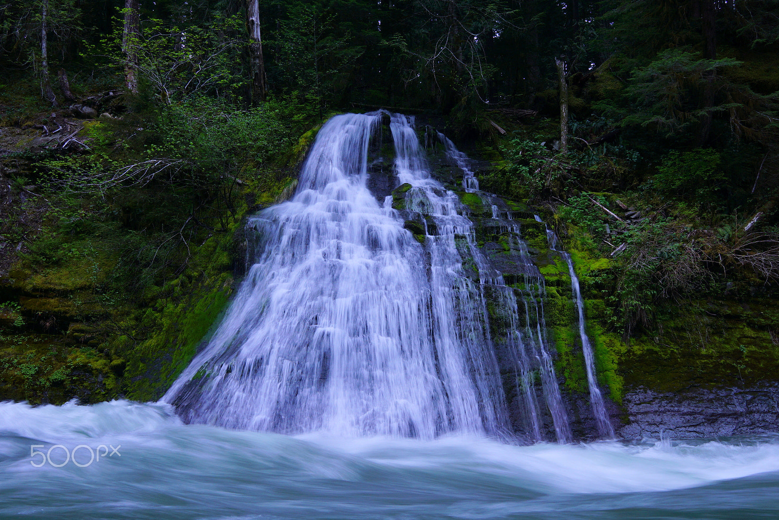 Sony a6000 + Sigma 19mm F2.8 EX DN sample photo. Feeding the flood photography