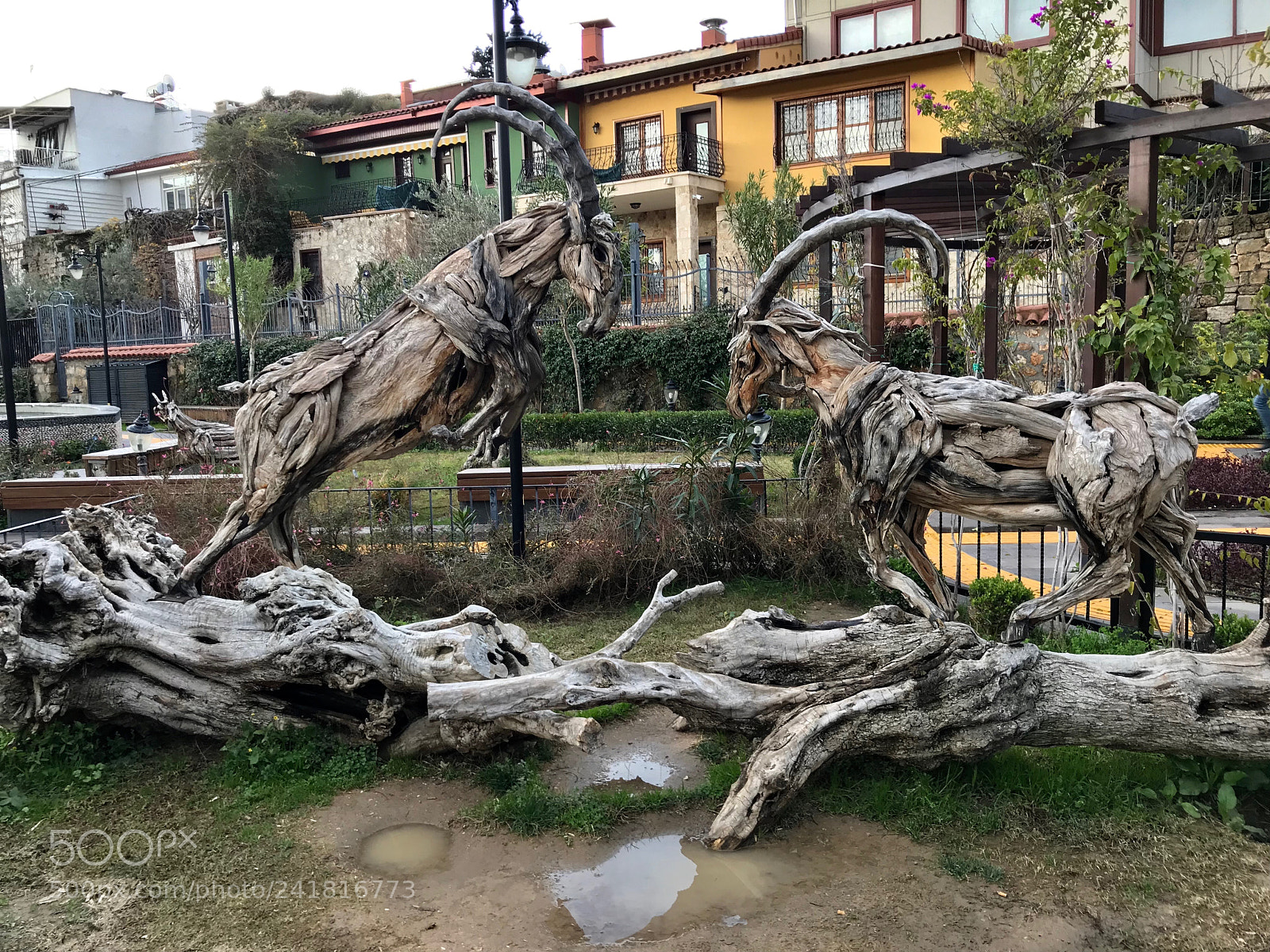 Apple iPhone 7 sample photo. Antalya/tÜrkİye photography