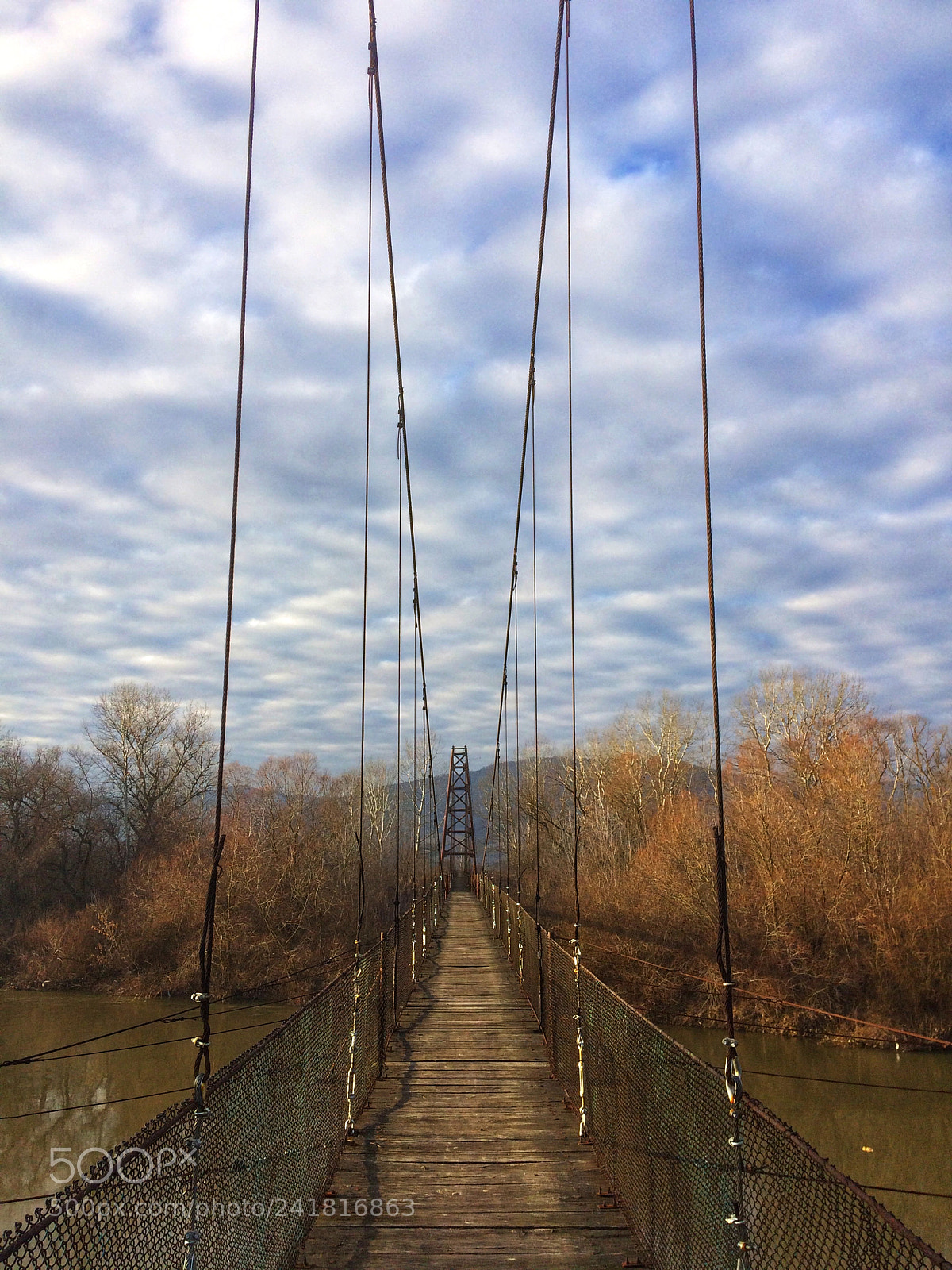 Apple iPhone 5s sample photo. Lini photography