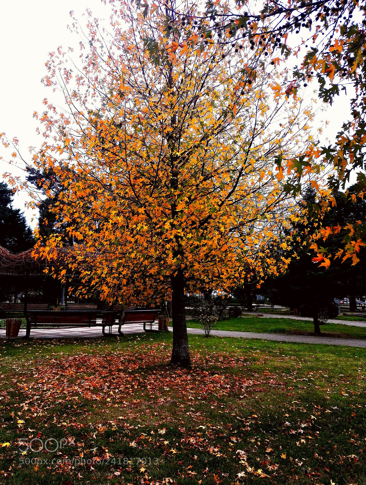 HUAWEI Honor 7 sample photo. Sdr photography