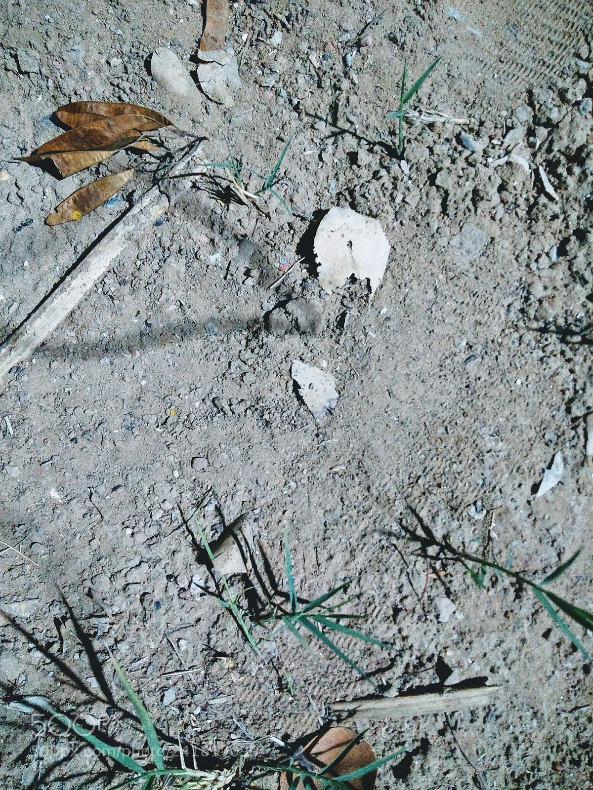 Motorola Moto G (5th Gen) sample photo. Shadow photography