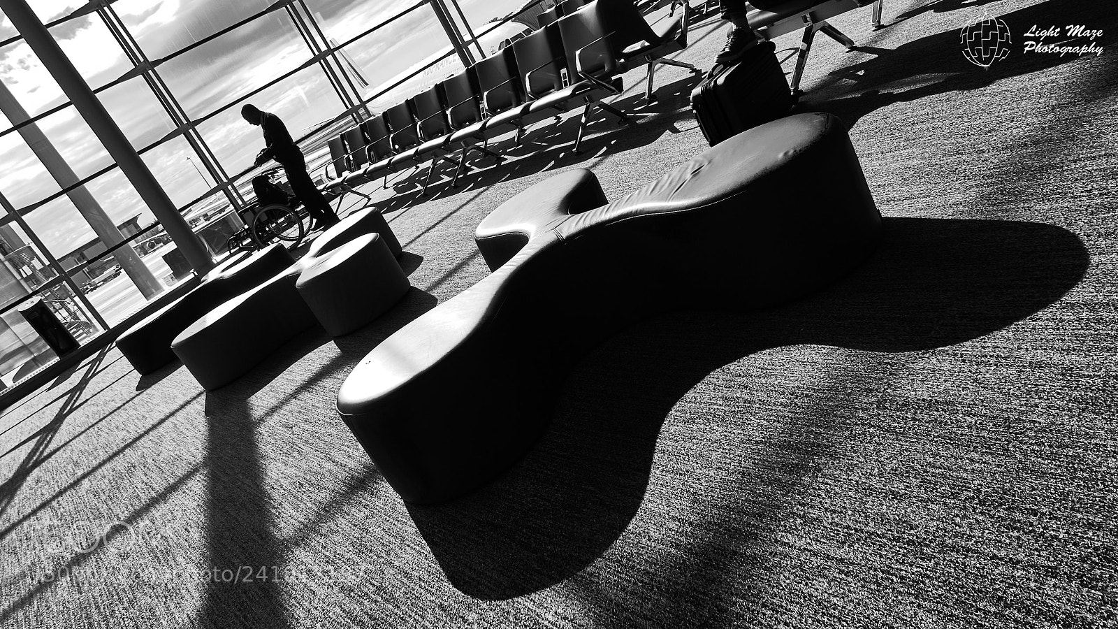 Panasonic Lumix DMC-LX100 sample photo. Shadow shamrock photography
