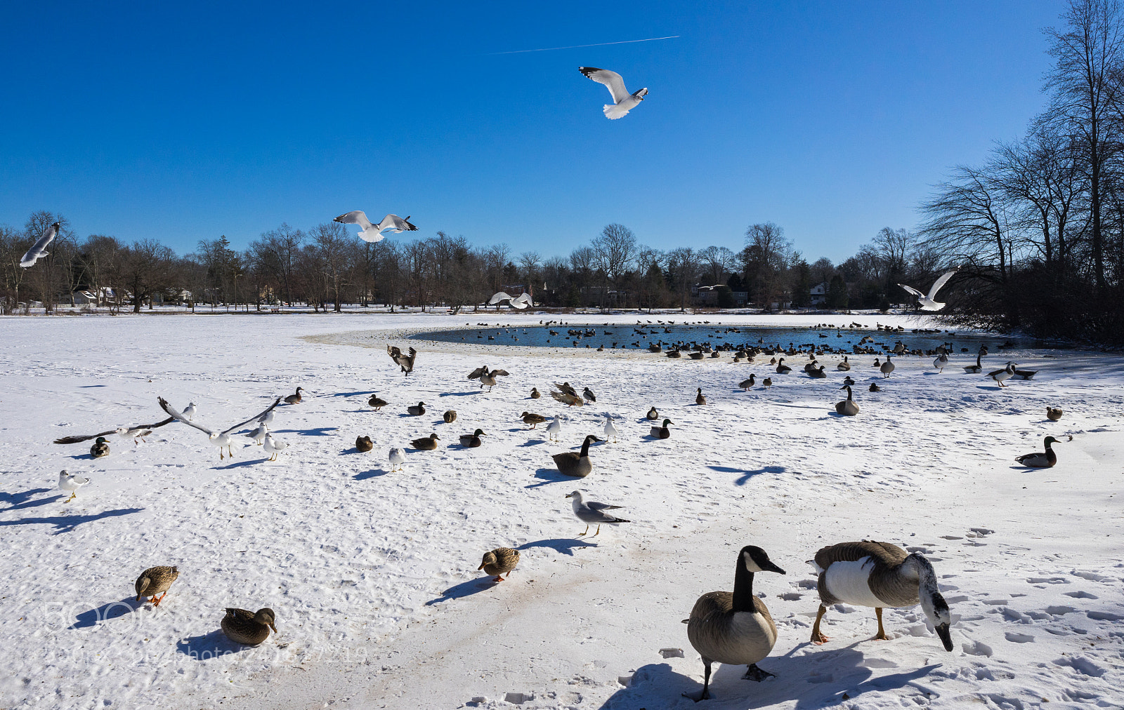 Sony a7 II sample photo. Dsc photography