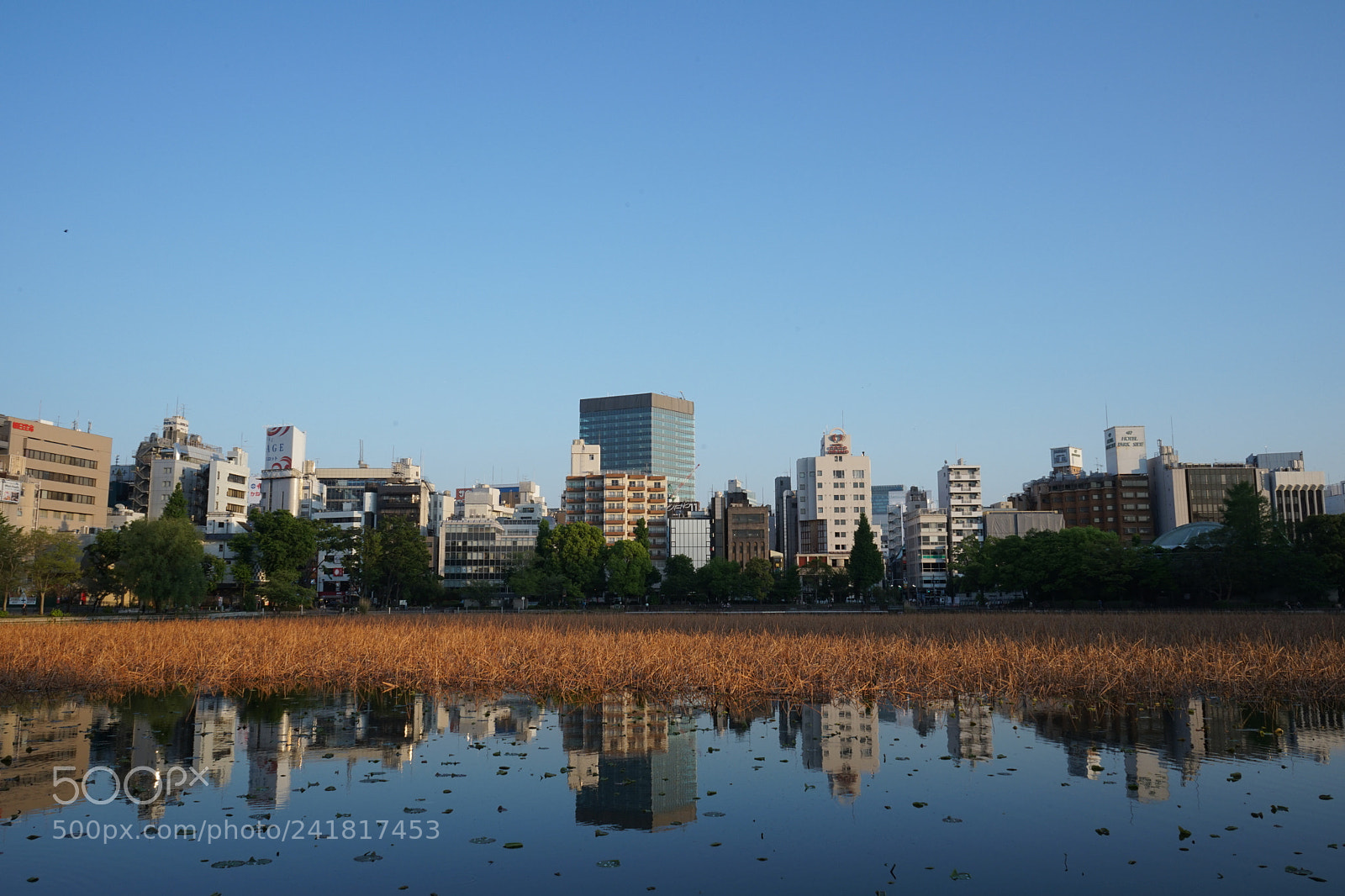 Sony a7 II sample photo. Dsc photography