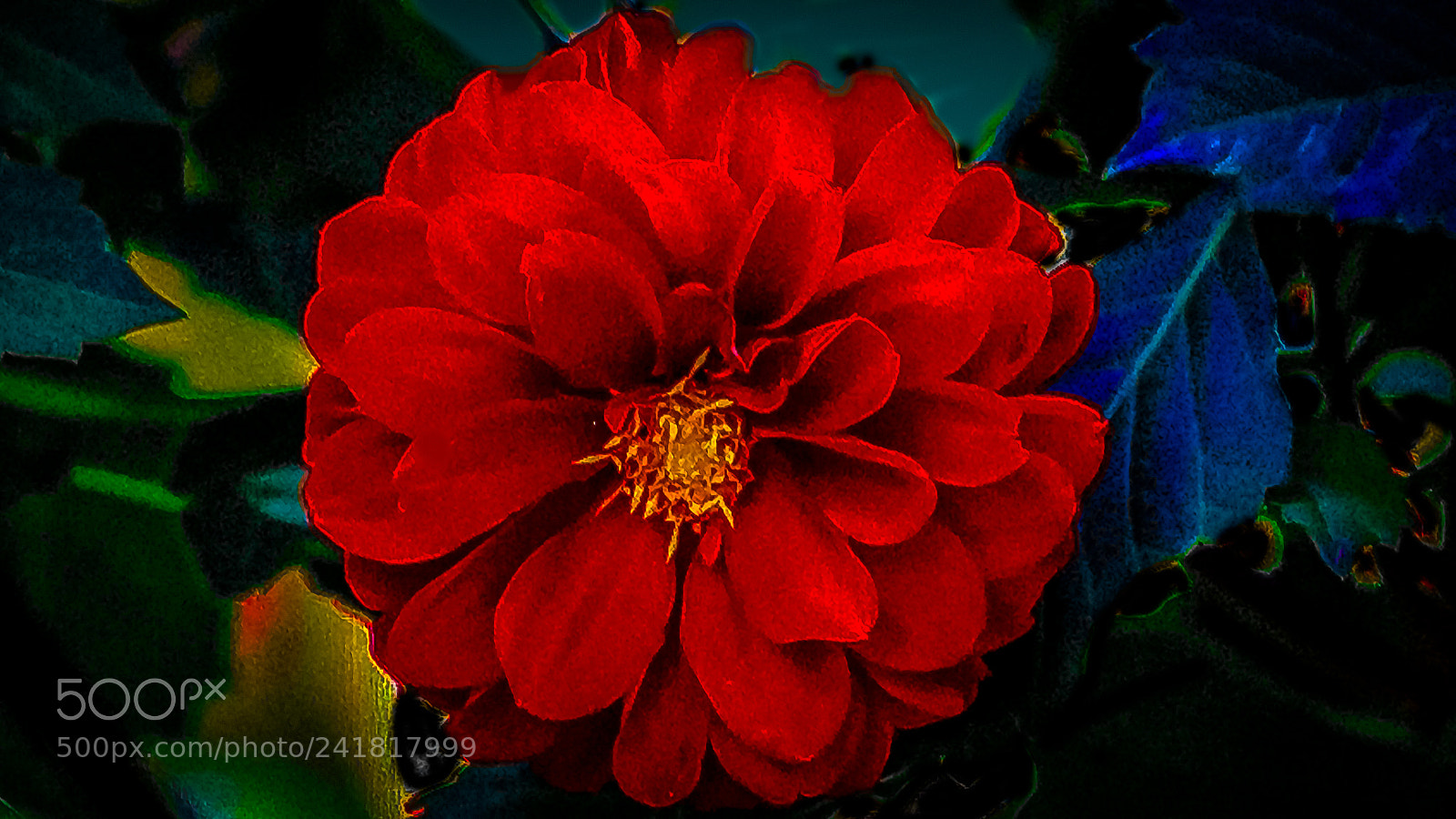 Canon EOS 600D (Rebel EOS T3i / EOS Kiss X5) sample photo. Red zelias photography
