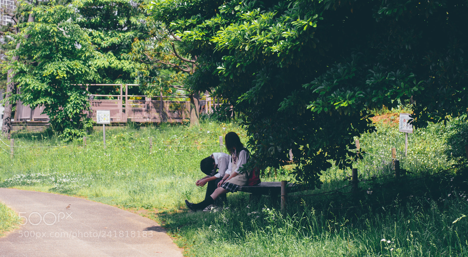 Nikon D3100 sample photo. After school talks photography