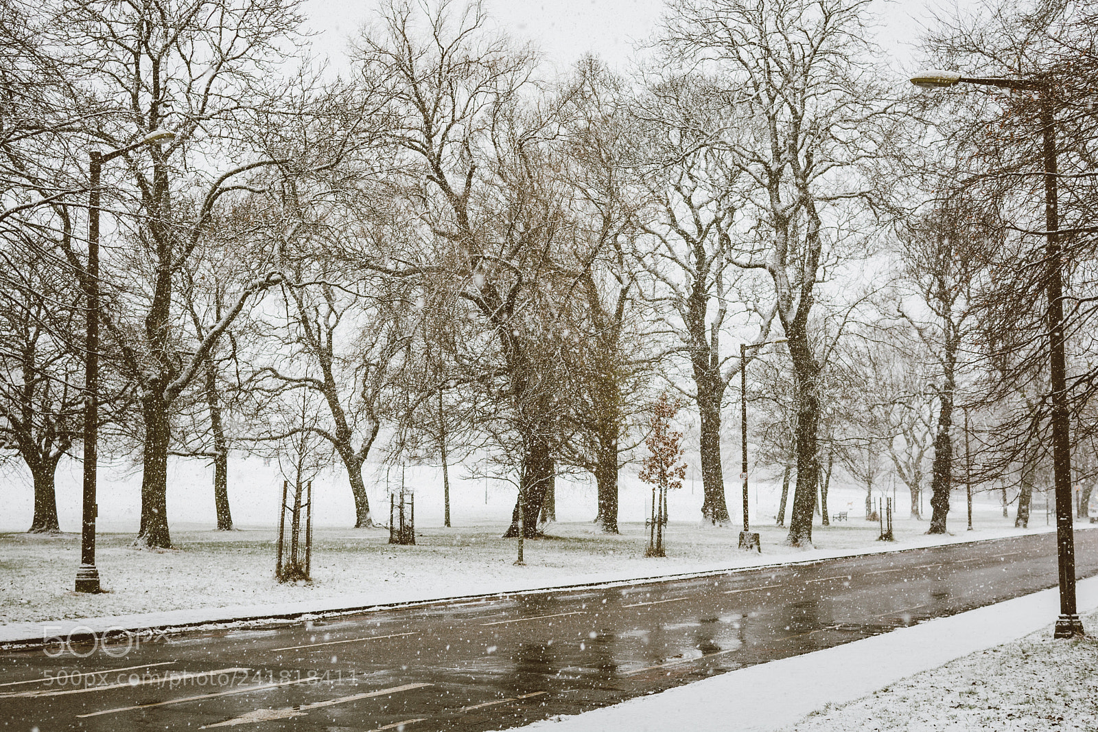 Nikon D7100 sample photo. Snow on the empty photography