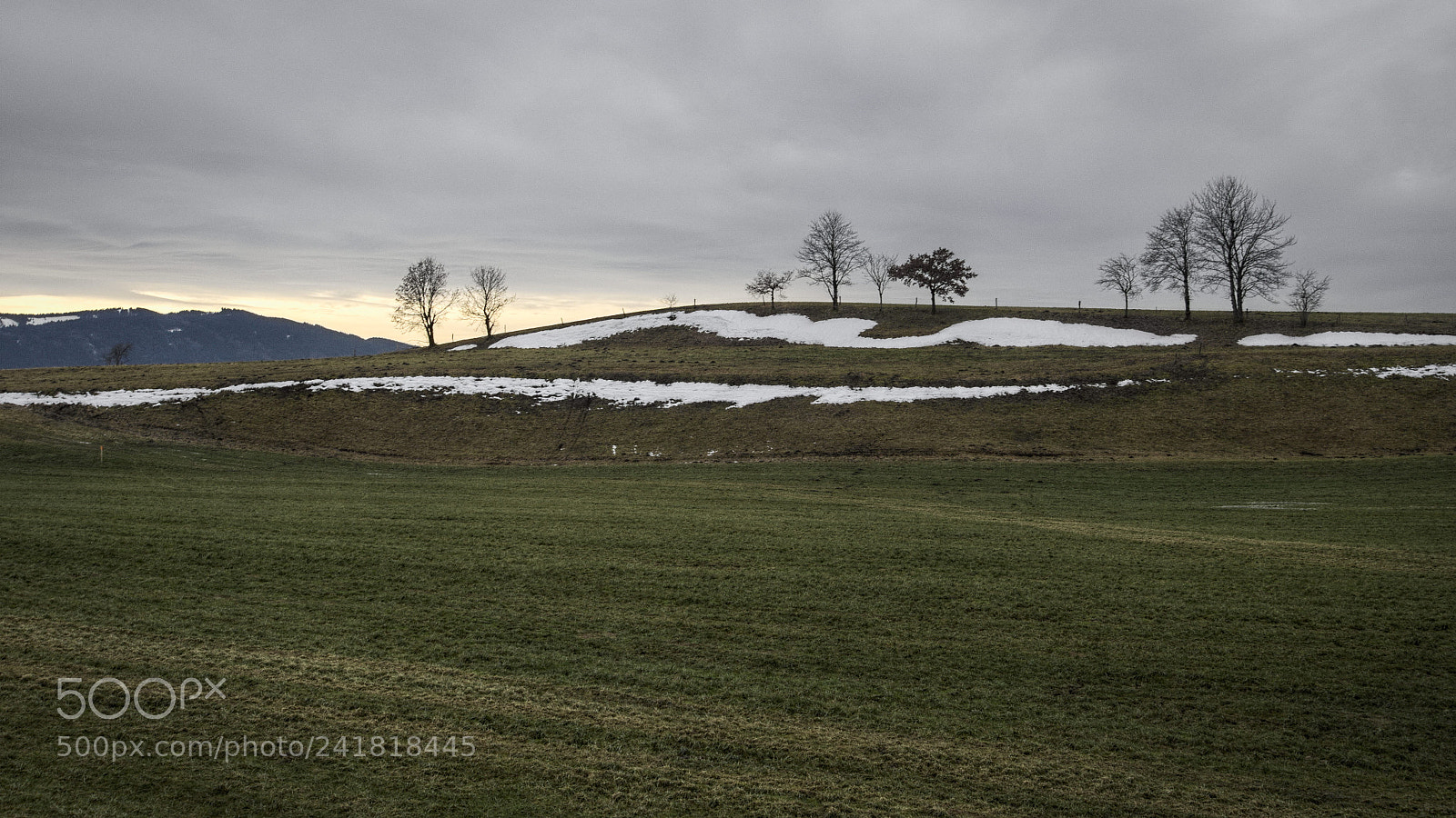 Olympus PEN E-PL5 sample photo. Green winter ii photography
