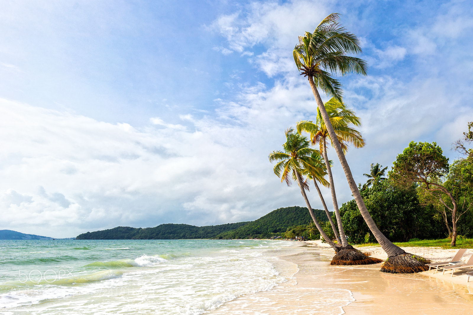 Sony a7 II sample photo. Tropical palms on beautiful photography
