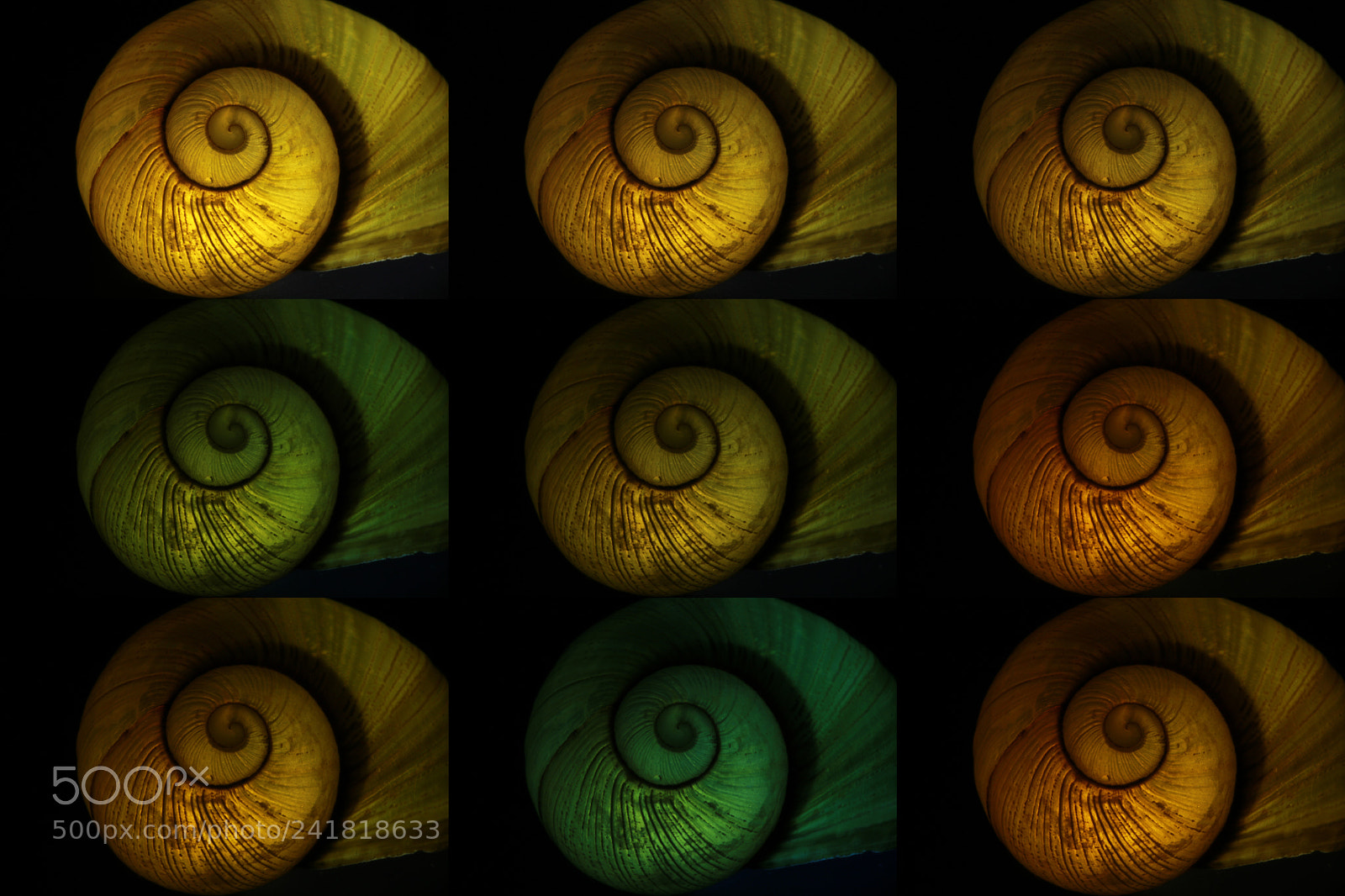 Canon EOS 750D (EOS Rebel T6i / EOS Kiss X8i) sample photo. Pattern photography