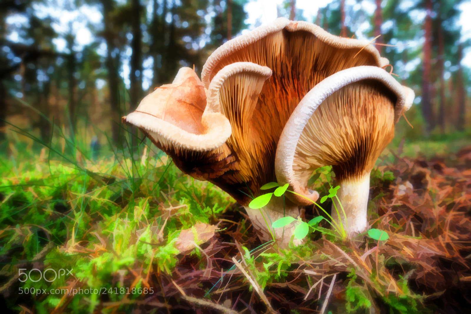 Sony Cyber-shot DSC-RX100 III sample photo. 530 ... beste freunde ... photography
