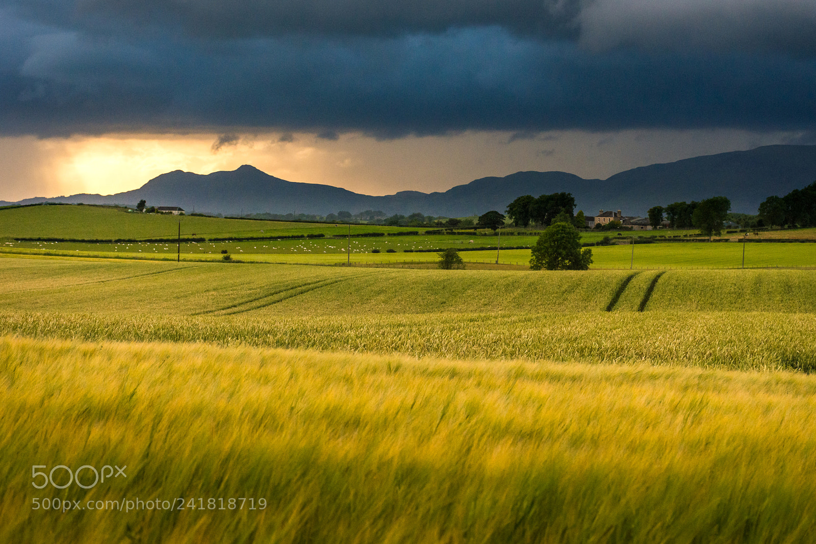 Nikon D7200 sample photo. Clackmannan part.2 photography