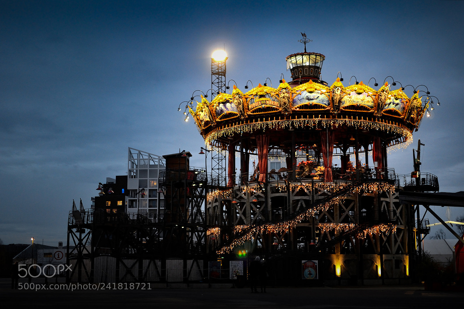 Nikon D3100 sample photo. Carrousel des mondes marins photography