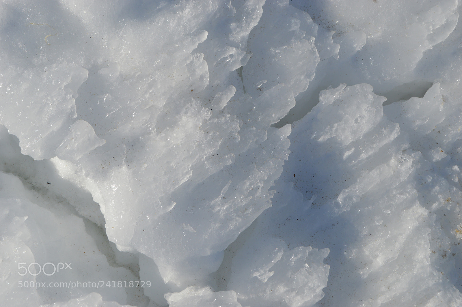 Nikon D3200 sample photo. Cold underlayer photography