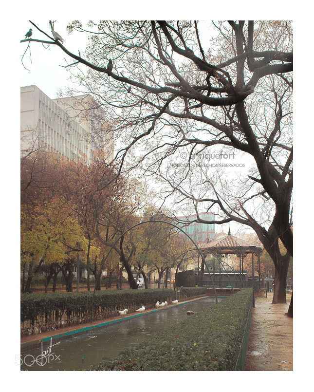 Fujifilm X70 sample photo. Tarde de lluvia photography